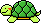 turtle walking